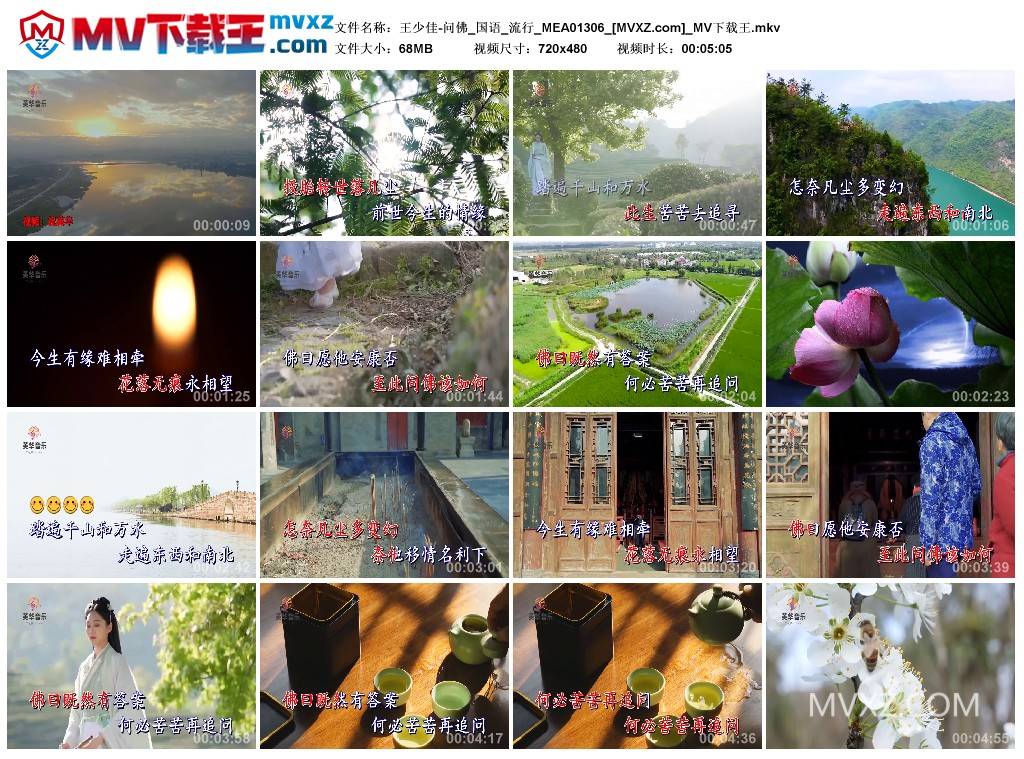 王少佳-问佛_国语_流行_MEA01306